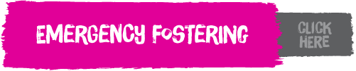 Find out about Emergency Fostering