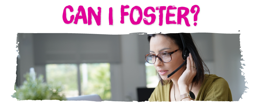 Can I foster? Find out if you can here